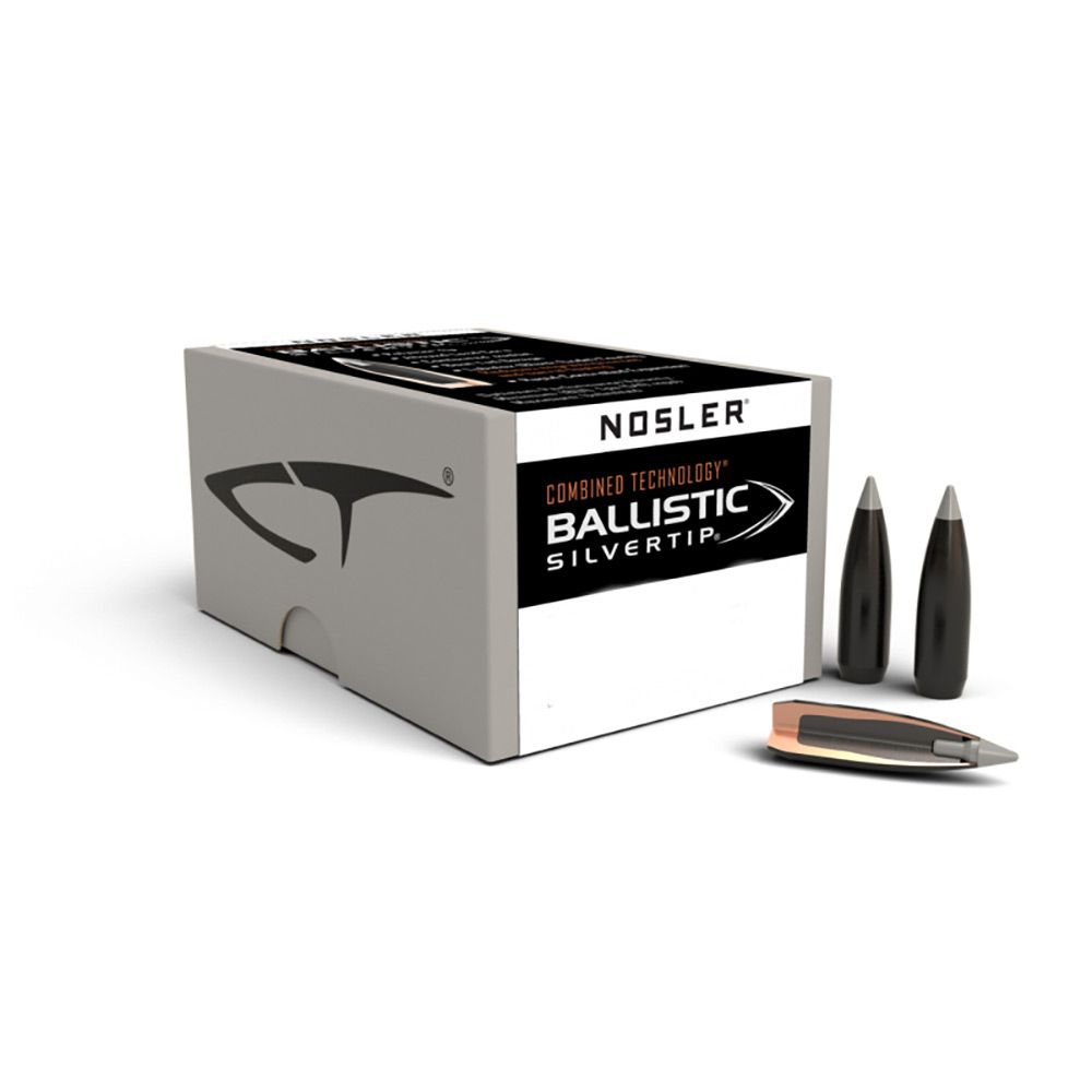 Nosler 6mm Ballistic Silver Tip 55g Heads